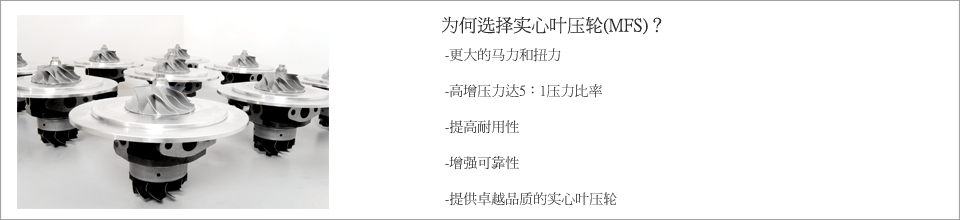 为什么基本解法，更大的马力和扭矩，高压力，提高压比达到5:1，提高耐久性，可靠性提高，基本解法叶轮提供更高的价值主张